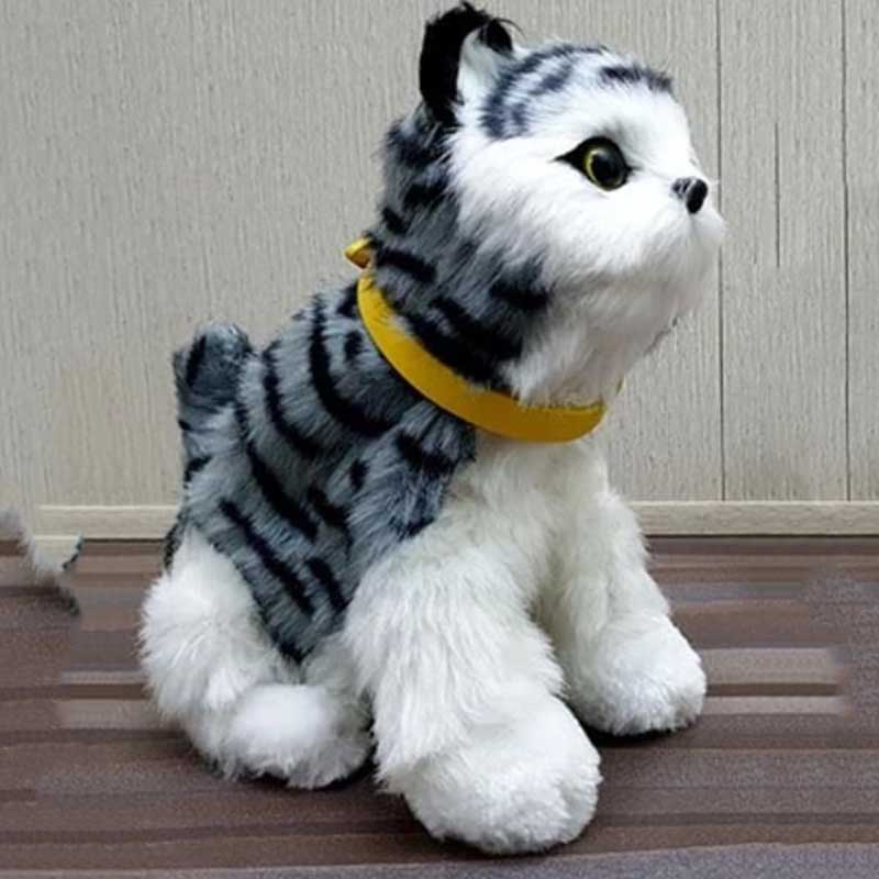 Sansory Stuff Cat Toy